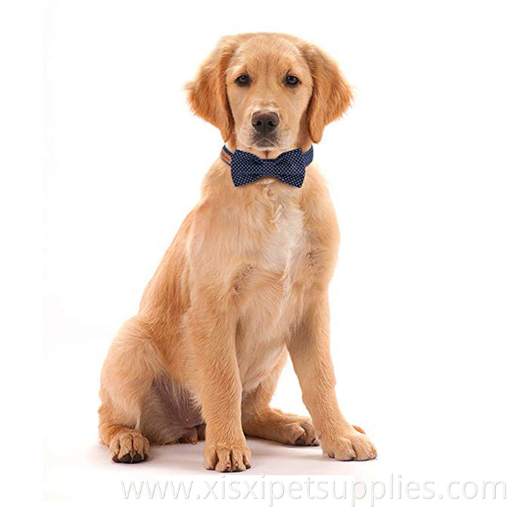 Soft Comfortable Adjustable Dog Cat Collar with Bowtie BREAKAWAY COLLARS Personalized Quick Release Eco-friendly Autumn/winter